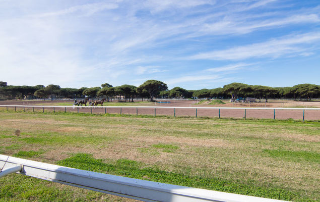 Les Pesquiers - Photo 6