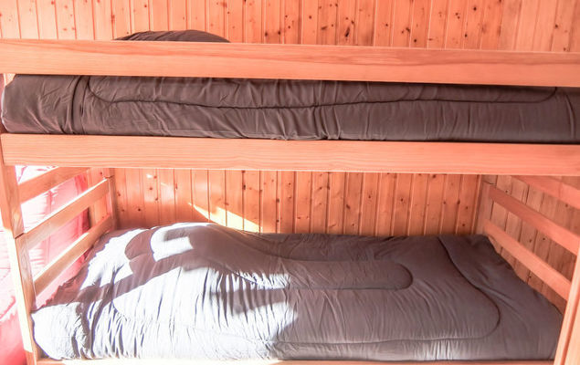 Les Asters - Photo 7