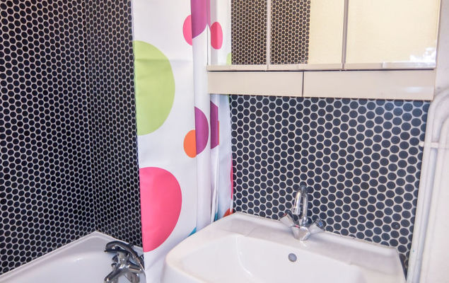 Les Asters - Photo 8