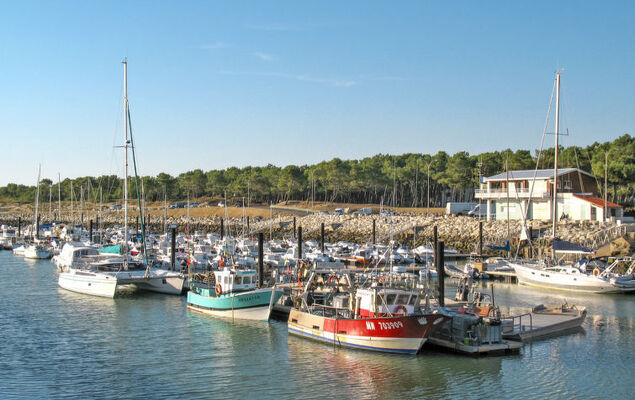 Les Charmilles - Photo 28