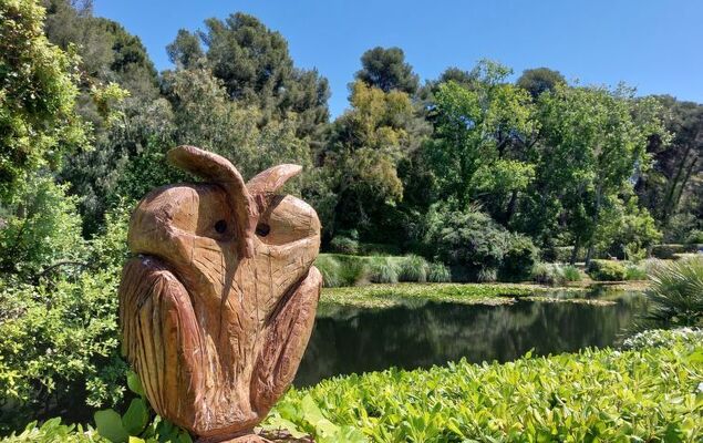 le Verdon - Photo 34