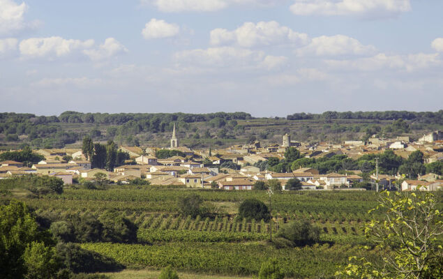 Les Terrasses de la Méditerranée - Photo 30